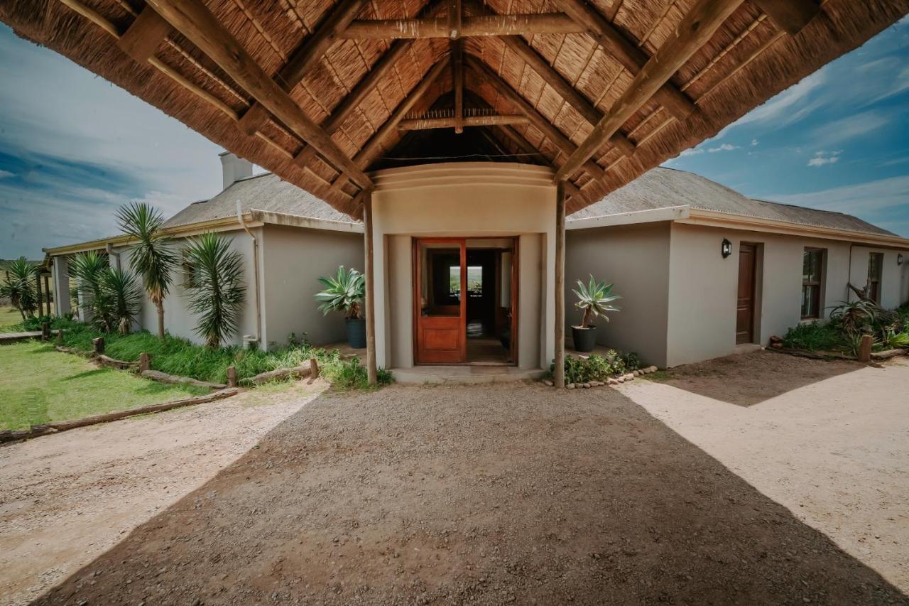 Hlosi Game Lodge - Amakhala Game Reserve Buyskloof Exterior photo