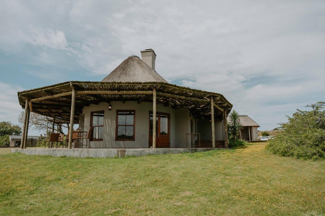 Hlosi Game Lodge - Amakhala Game Reserve Buyskloof Exterior photo