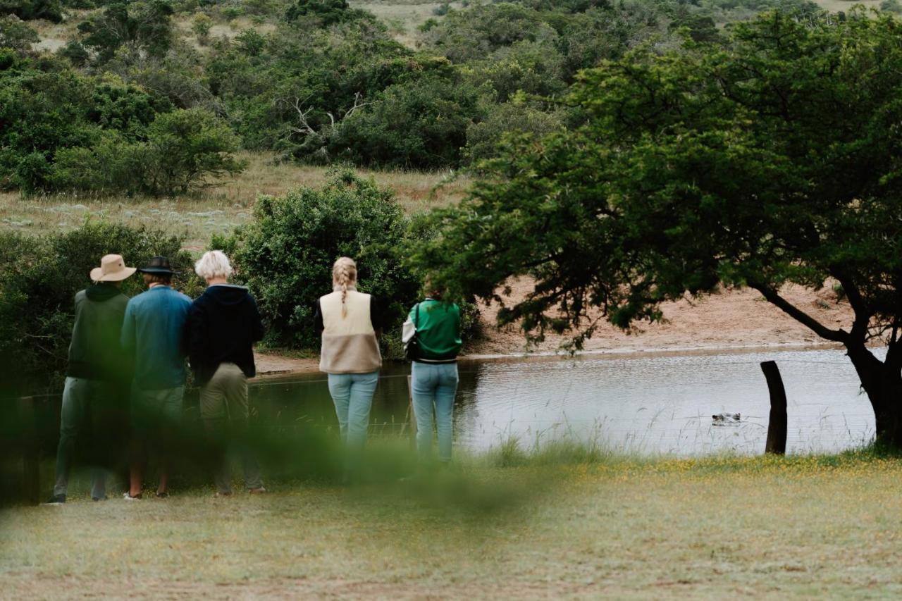 Hlosi Game Lodge - Amakhala Game Reserve Buyskloof Exterior photo